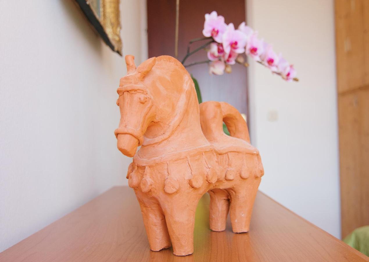 Todorovic - Macan Apartman Pula