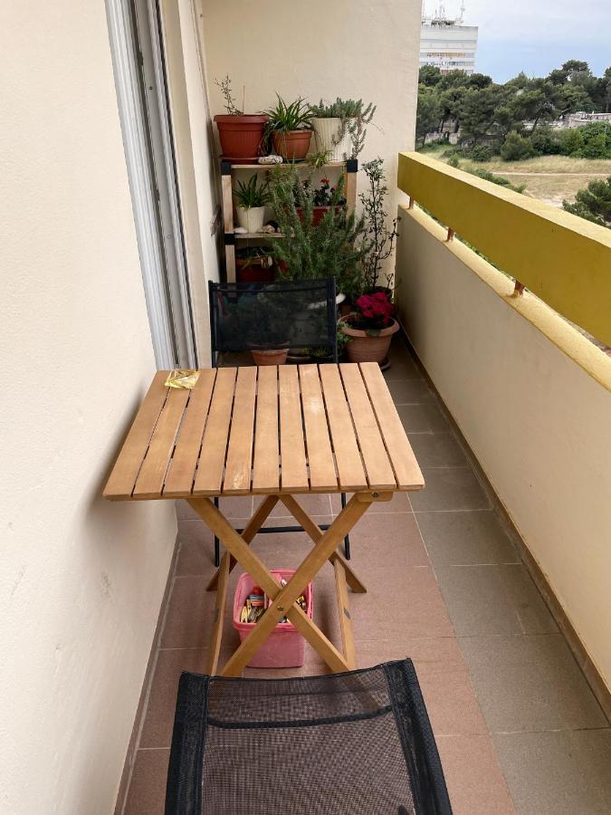 Todorovic - Macan Apartman